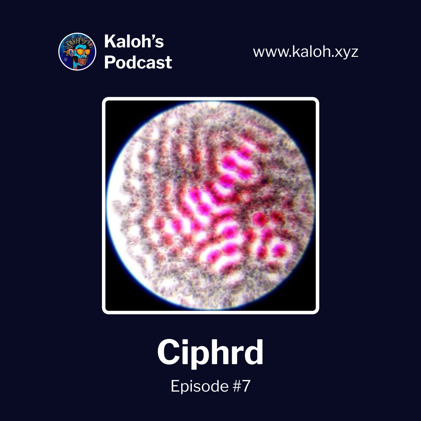 Kaloh’s Podcast Episode #7: Ciphrd is a generative artist and the founder of fxhash.