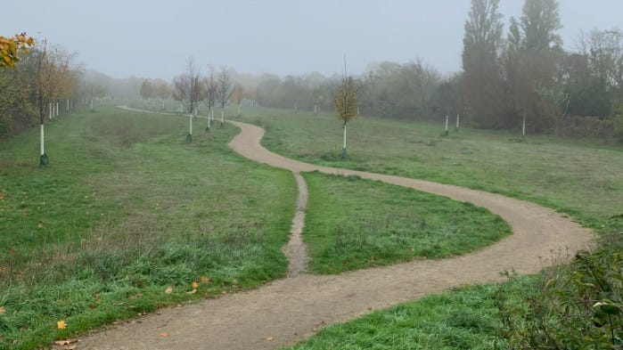 What desire paths can tell us about how to design safer, better public  spaces - ABC News