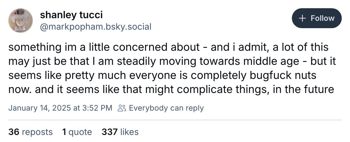 January 14, 2025 Bluesky post by Mark Popham reading, "something im a little concerned about - and i admit, a lot of this may just be that I am steadily moving towards middle age - but it seems like pretty much everyone is completely bugfuck nuts now. and it seems like that might complicate things, in the future"