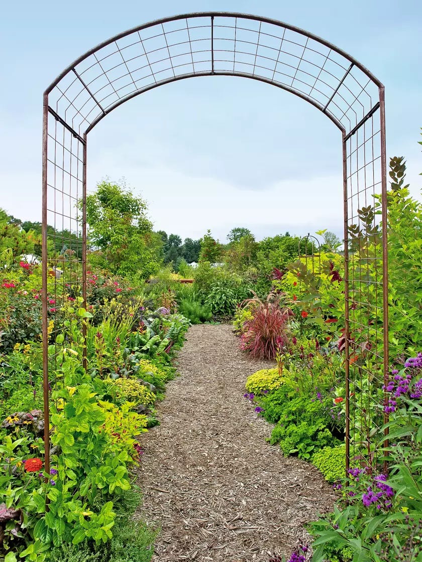 A garden path with a metal arch

Description automatically generated