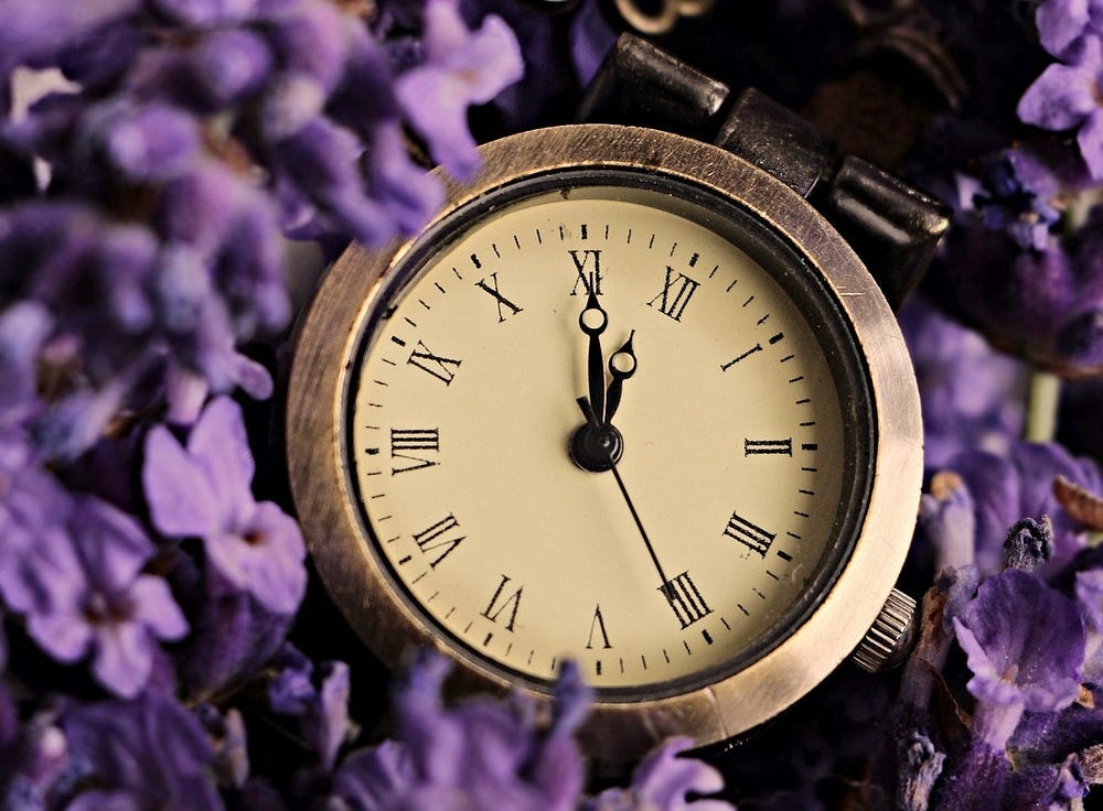 A pocket watch resting on lavender