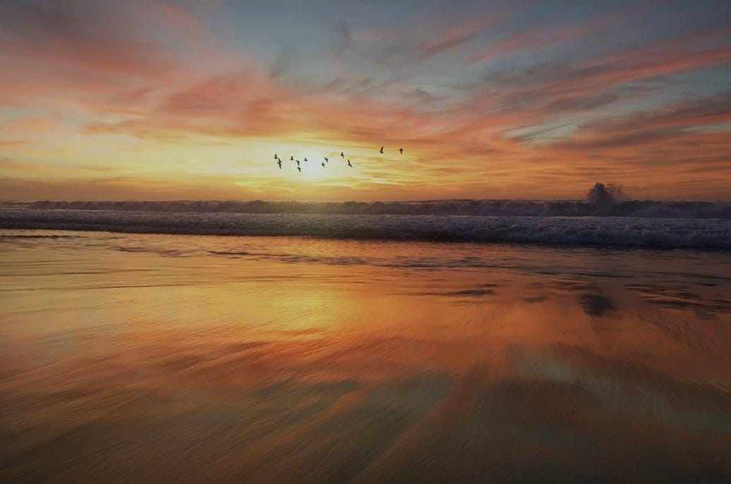 A sunset over a beach

AI-generated content may be incorrect.