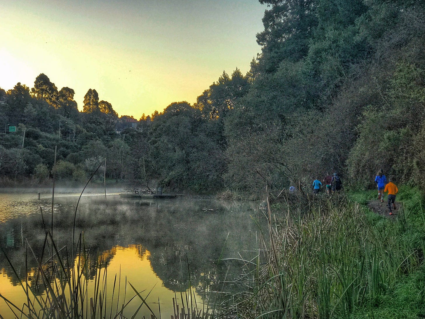 A group of runners heading around a lake with fog resting on the water.