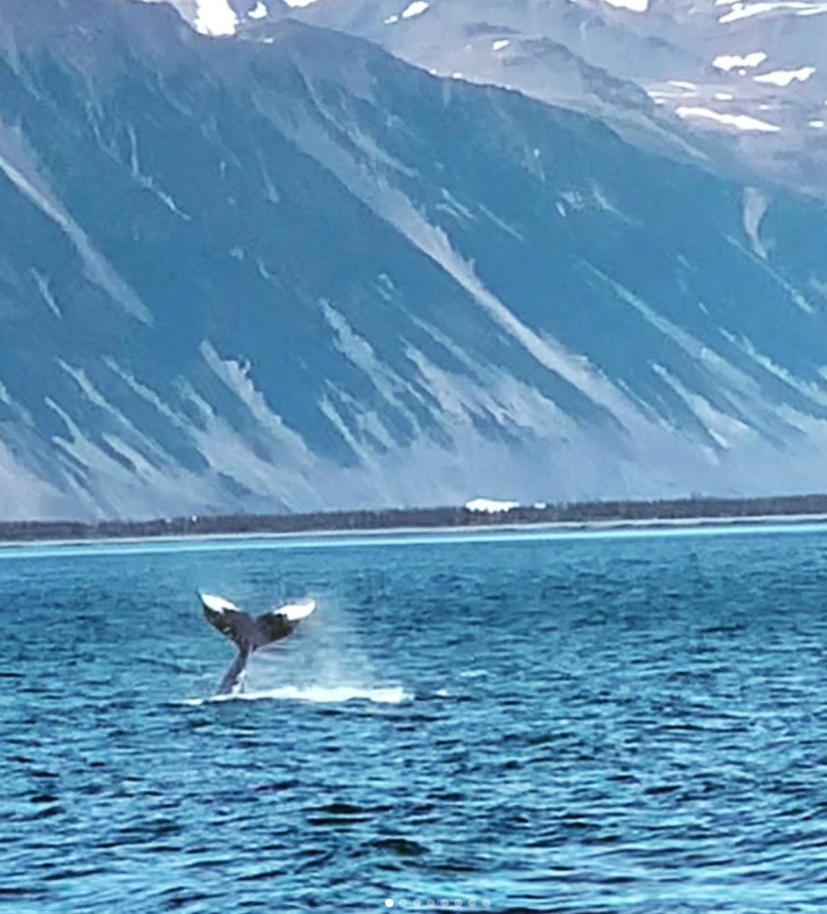 The tail of a humpback whale raised above turquoise water, against blue, snow-streaked mountains in the background.