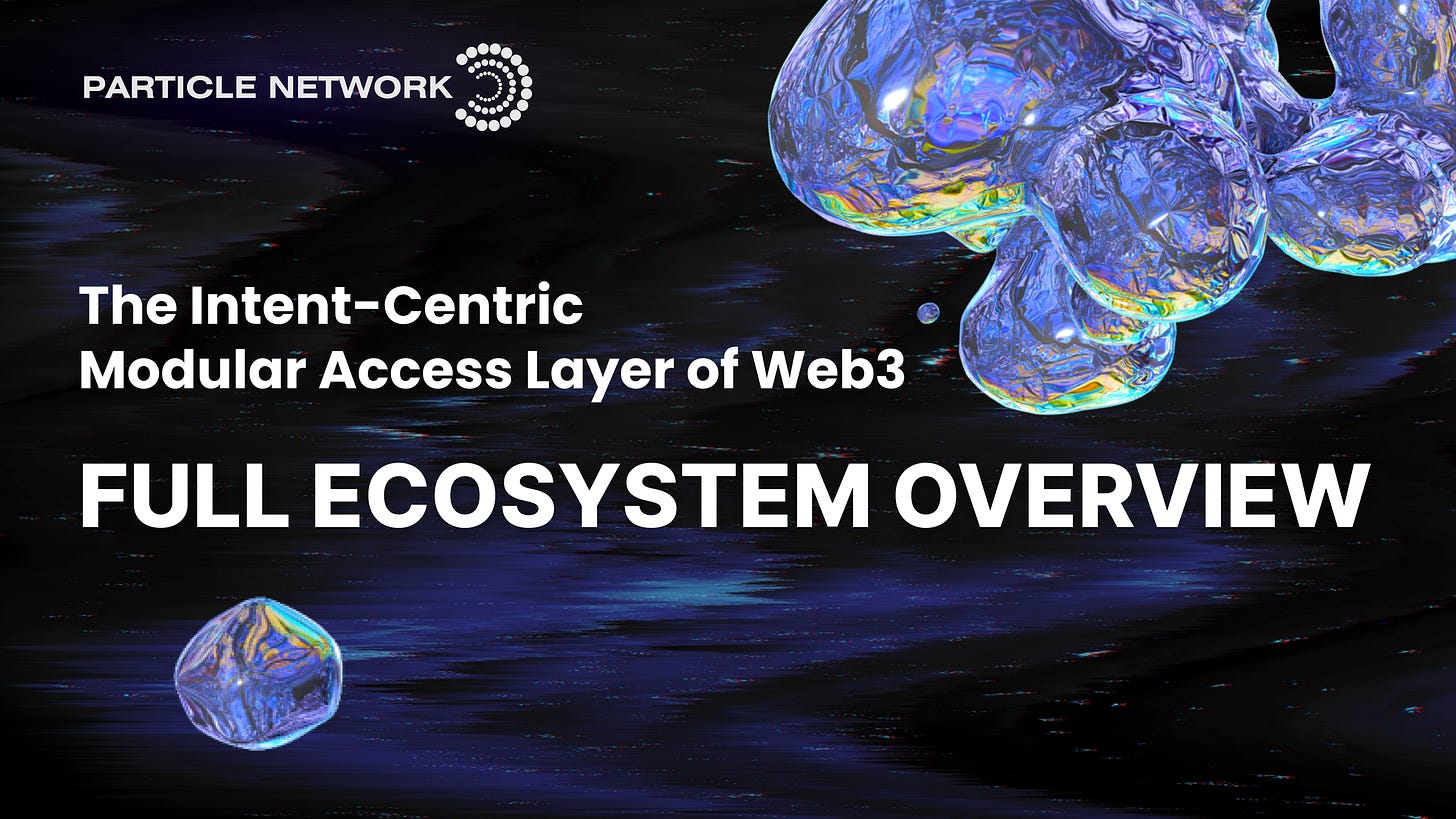 The Access Layer of the Open Web: Full Ecosystem Overview