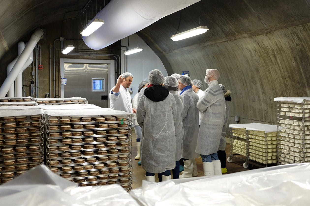Mateo Kehler of Cellars at Jasper Hill in the room for aging bloomy cheeses