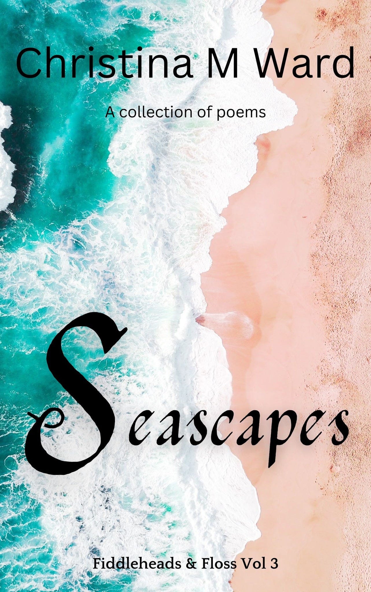 May be an image of text that says 'Christina M Ward A collection of poems Scascapes S eascapes Fiddleheads & Floss Vol 3'
