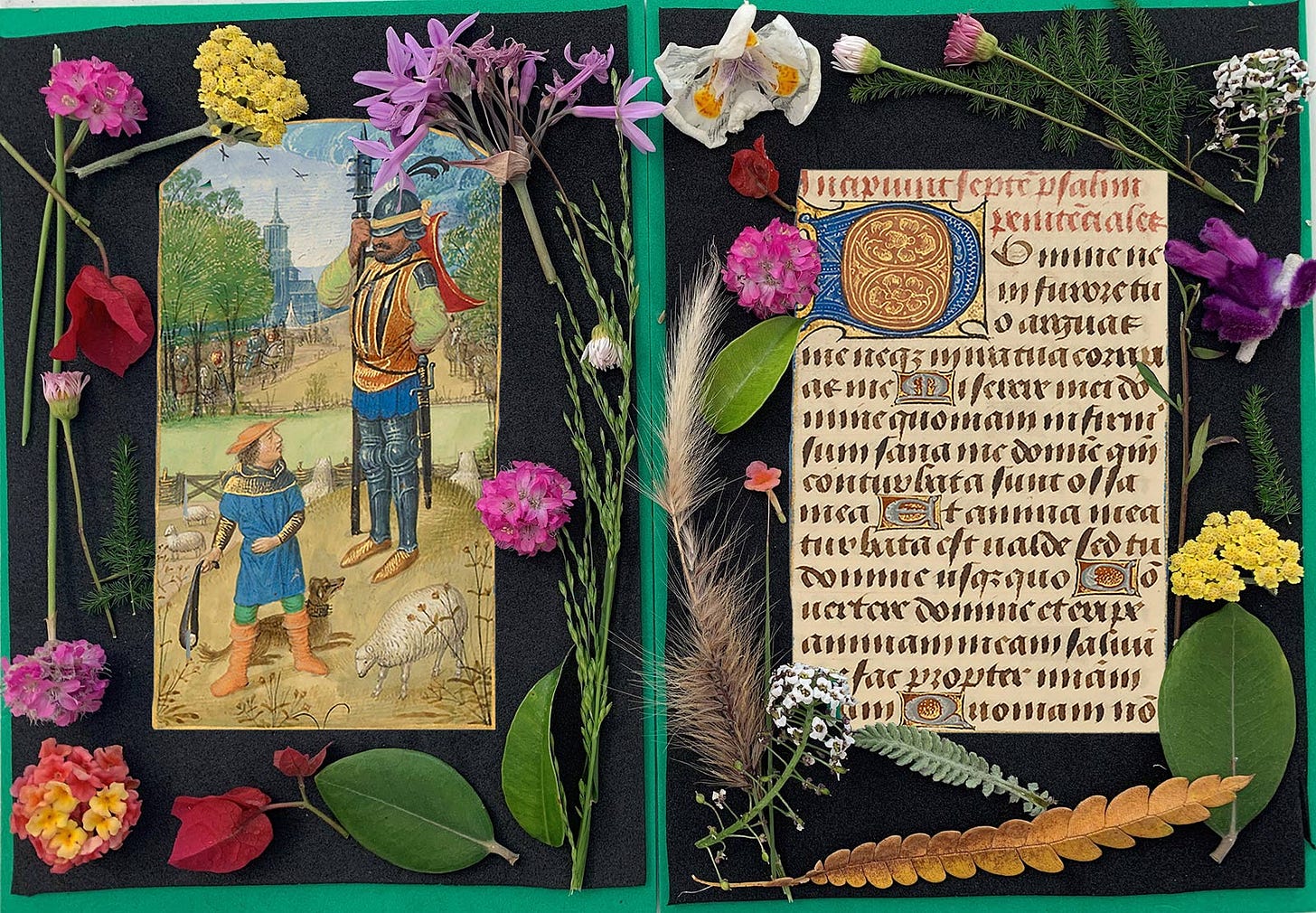 Manuscript images pasted on black background, decorated with flowers around the borders