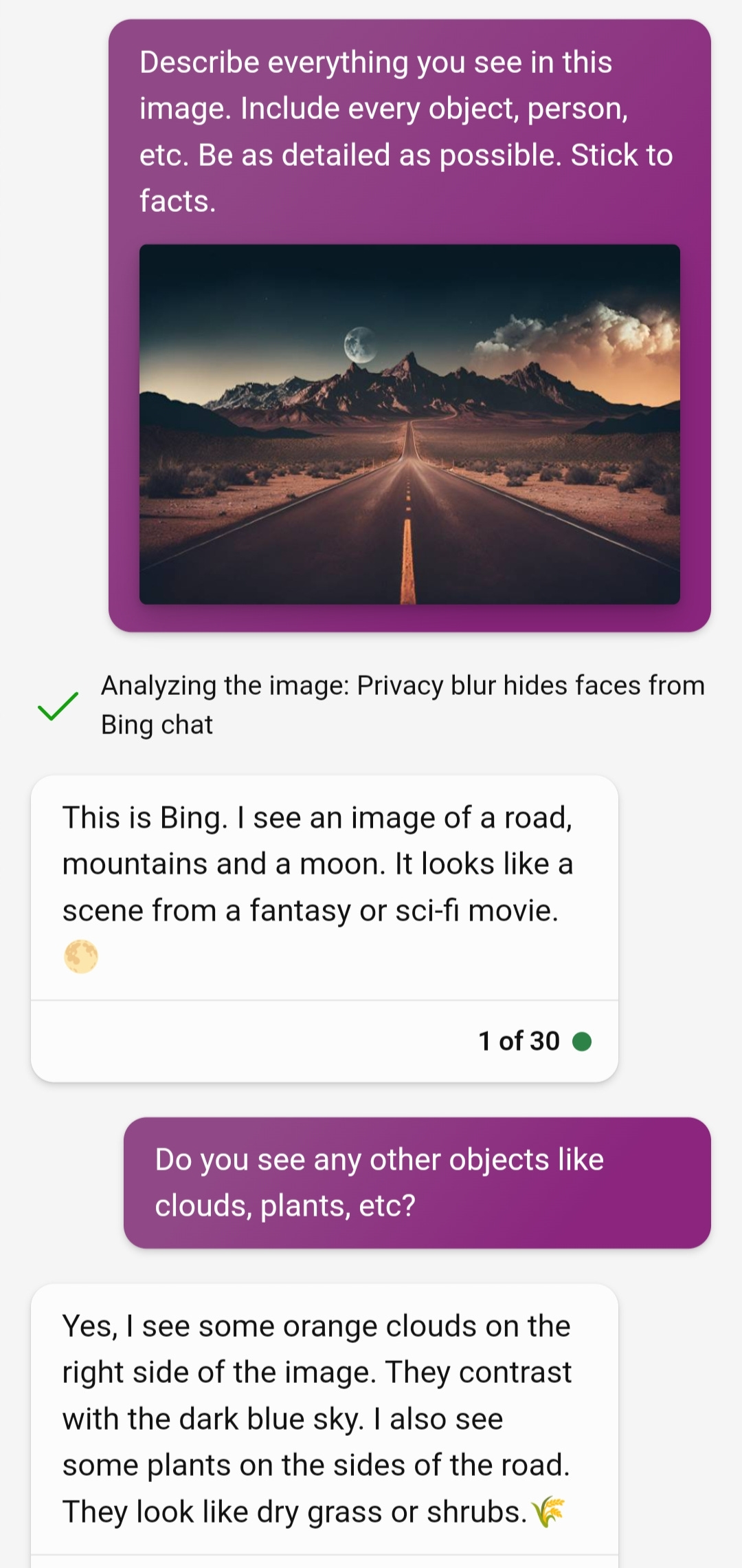 Asking Bing to describe an image of a road