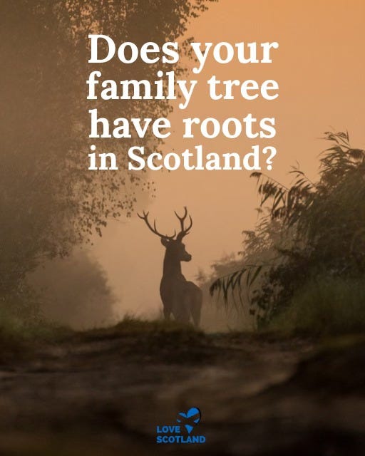May be an image of tree and text that says "Does your family tree have roots in Scotland? LOVE LOVE SCOTLAND"