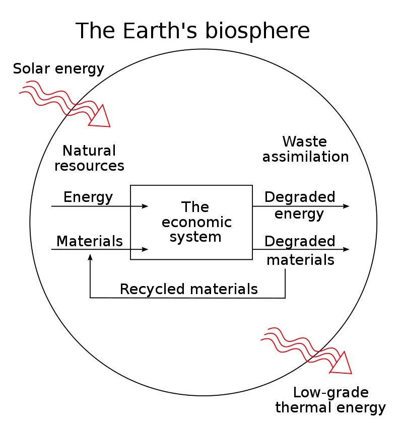 A graphic of the Earth's Biosphere