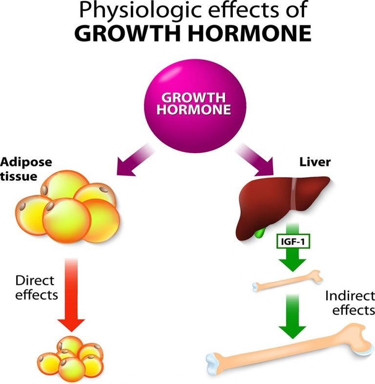 Infrared Sauna - Grow More Growth Hormone - SaunaCloud