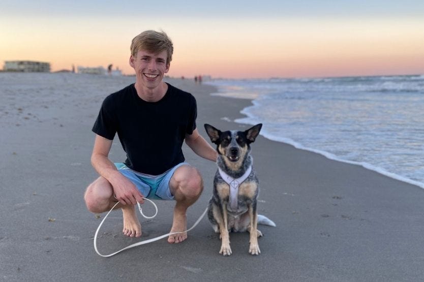 Scout the blue heeler on Cocoa Beach's dog-friendly section