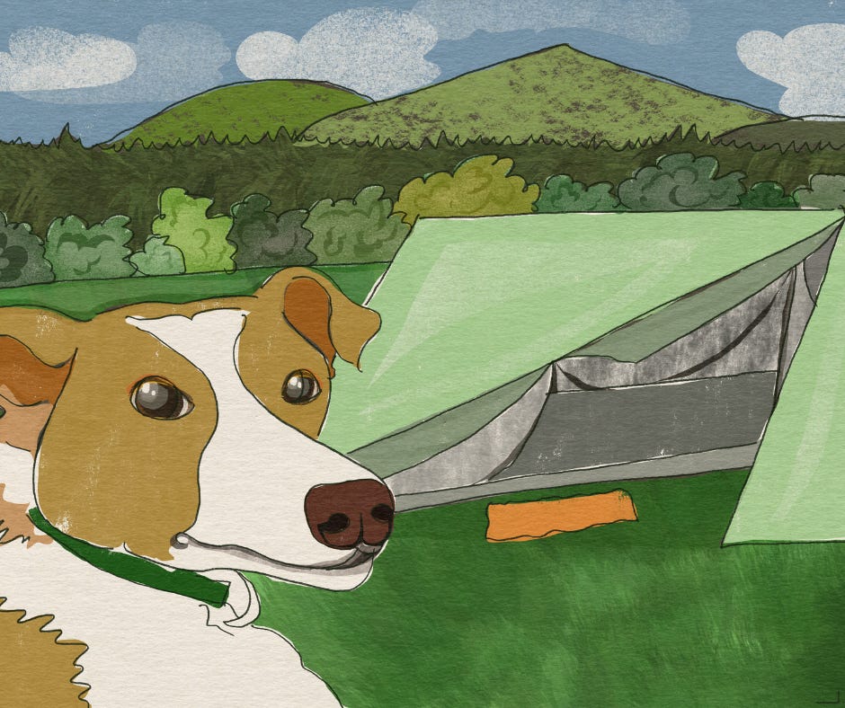 Digital illustration of my dog Lucy, a Podenco mix, standing in front of our green Durston tent on a grass pitch at Skye Camping in Broadford