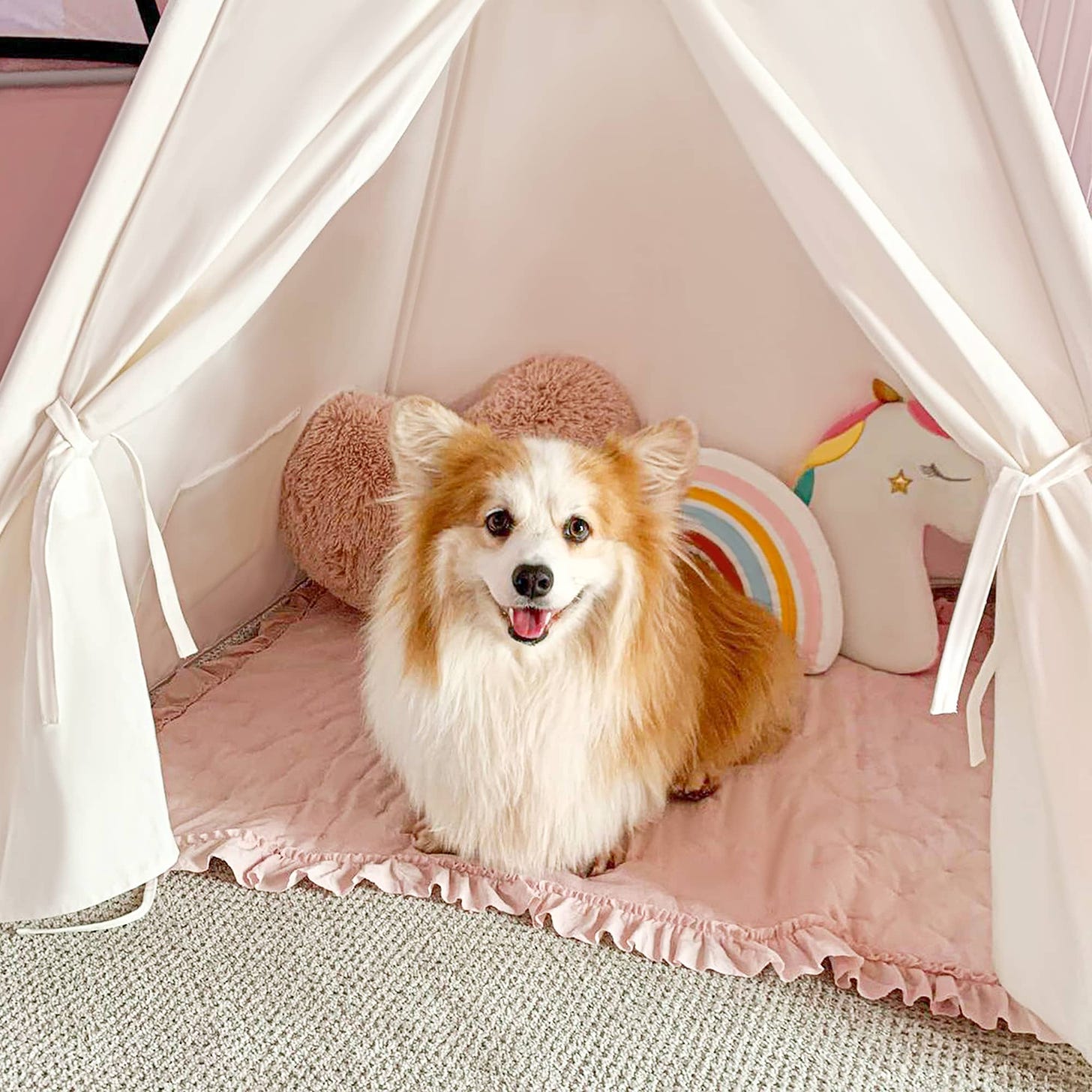 Tiny Land Teepee Tent