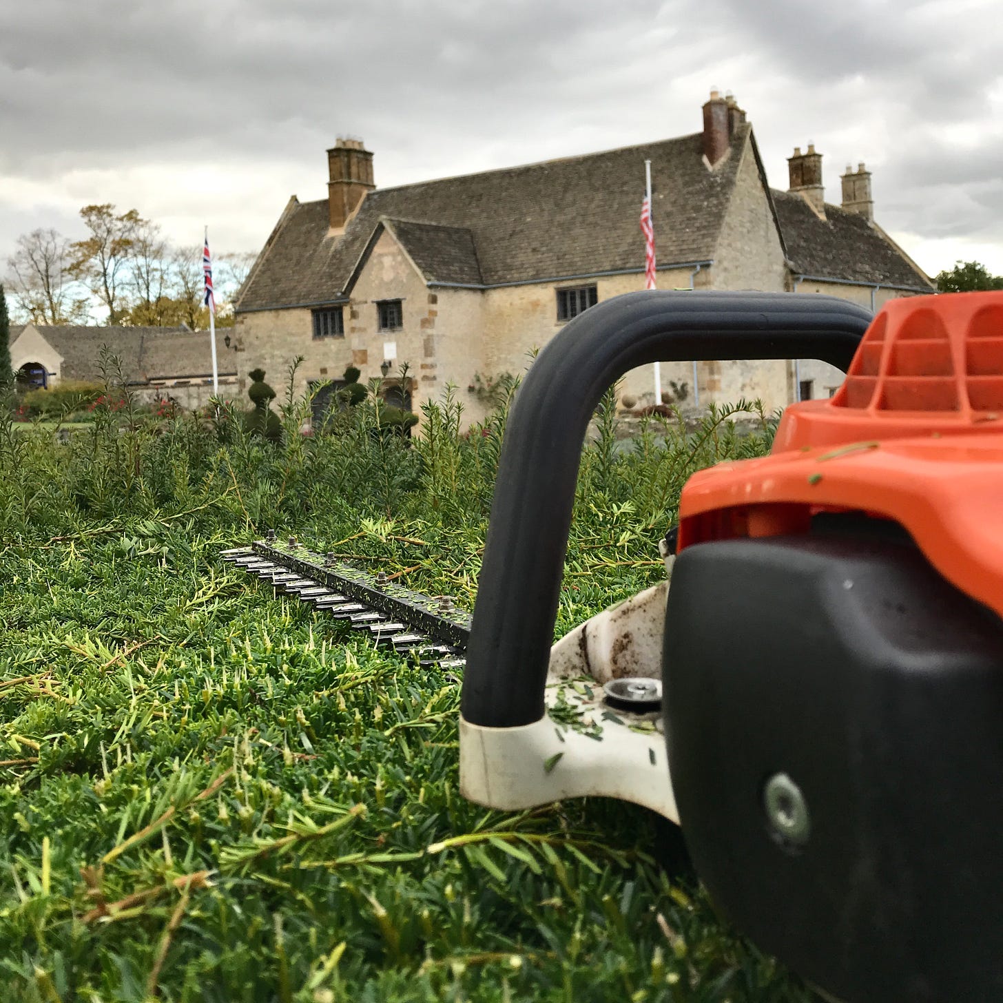 Hedge trimmer resting on the hedge top between trimming sessions... at Sulgrave Manor in Northants