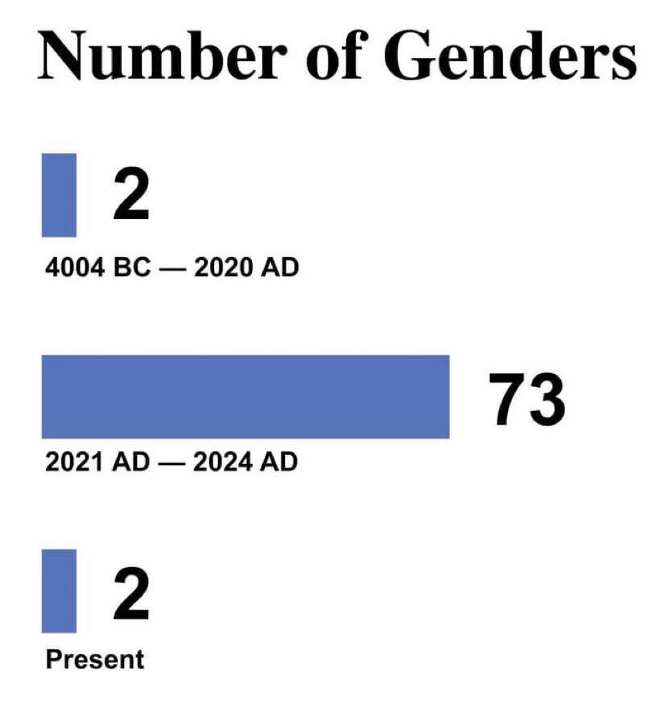 May be a graphic of text that says 'Number of Genders 2 4004 4004BC-2020AD Bc -2020 AD 2021 2021AD-2024AD AD-2024A AD 2024 AD 73 2 Present'