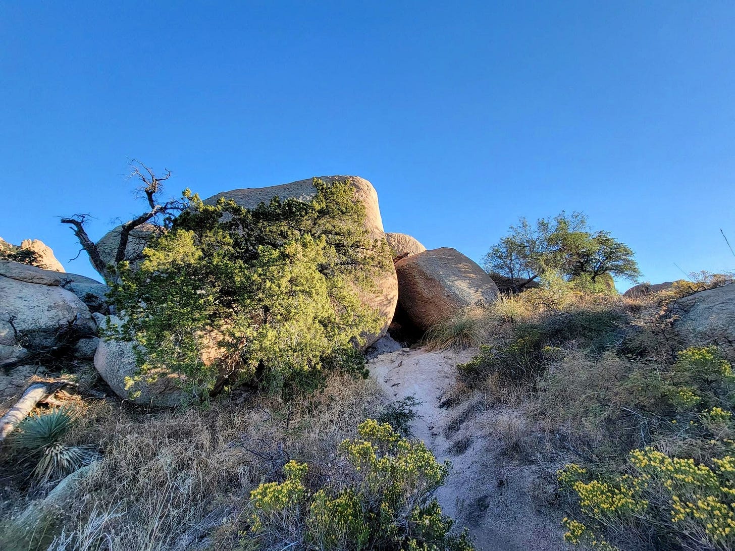 Large Gray Boulders Fringed With Scrubby Green Trees Against A Blue Sky large gray boulders fringed with scrubby green trees against a blue sky