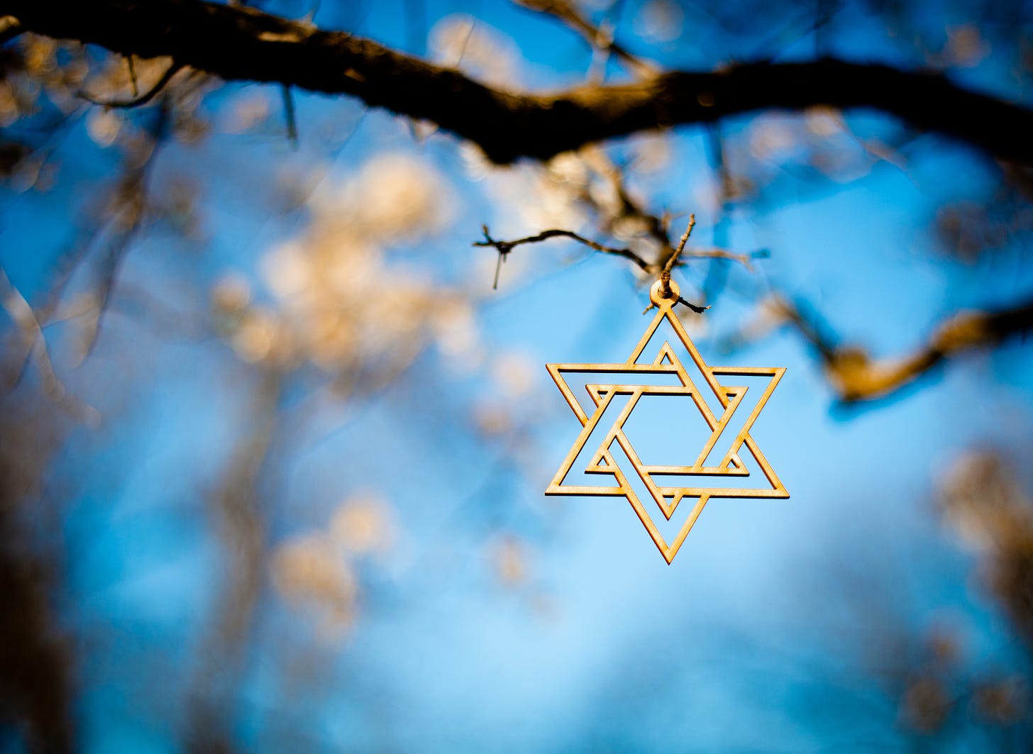 a Star of David hangs from a tree