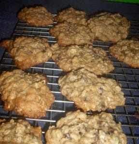 tahini oatmeal cookies