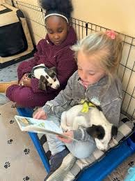 Teacher's puppy therapy program encourages 1st graders to read - KAKE
