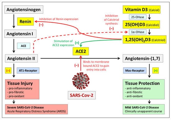 Nutrients 13 03596 g002 550