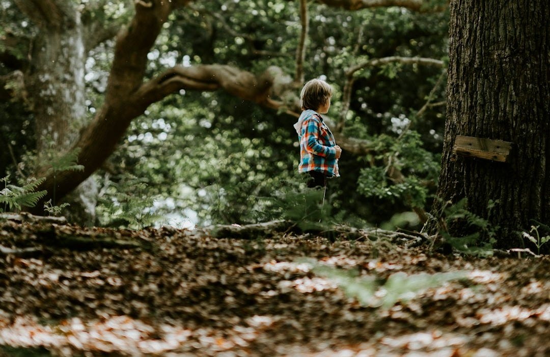 toddler in multicolored plaid shirt standing near tree toddler in multicolored plaid shirt standing near tree