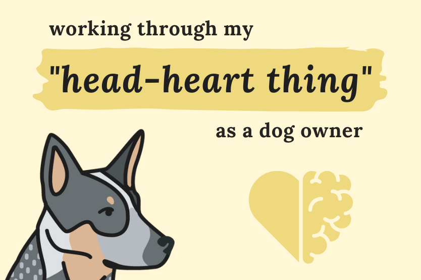 Black text reads "working through my head-heart thing as a dog owner" on a pale yellow background above an illustration of a blue heeler next to a heart and brain icon