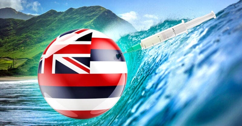 mountains, water and hawaii flag with vaccine syringe