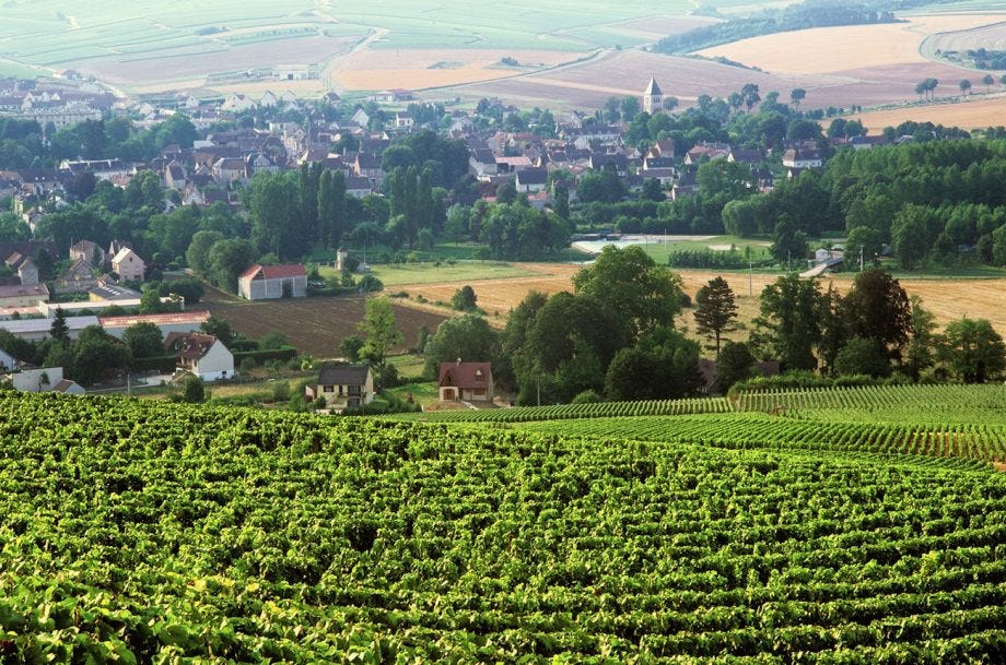 Chablis wineries counting cost of fierce hailstorm - Decanter