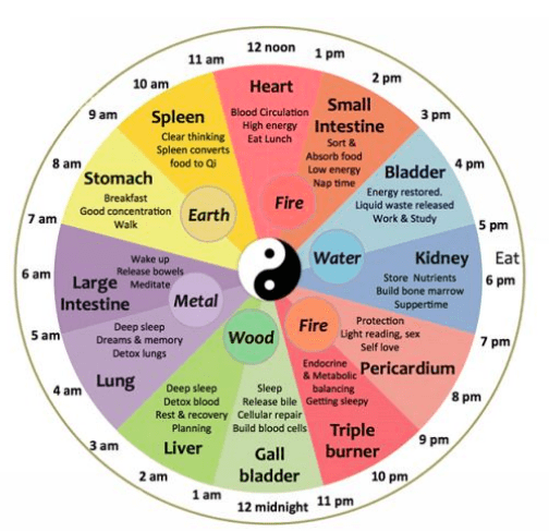 TCM Circadian Clock