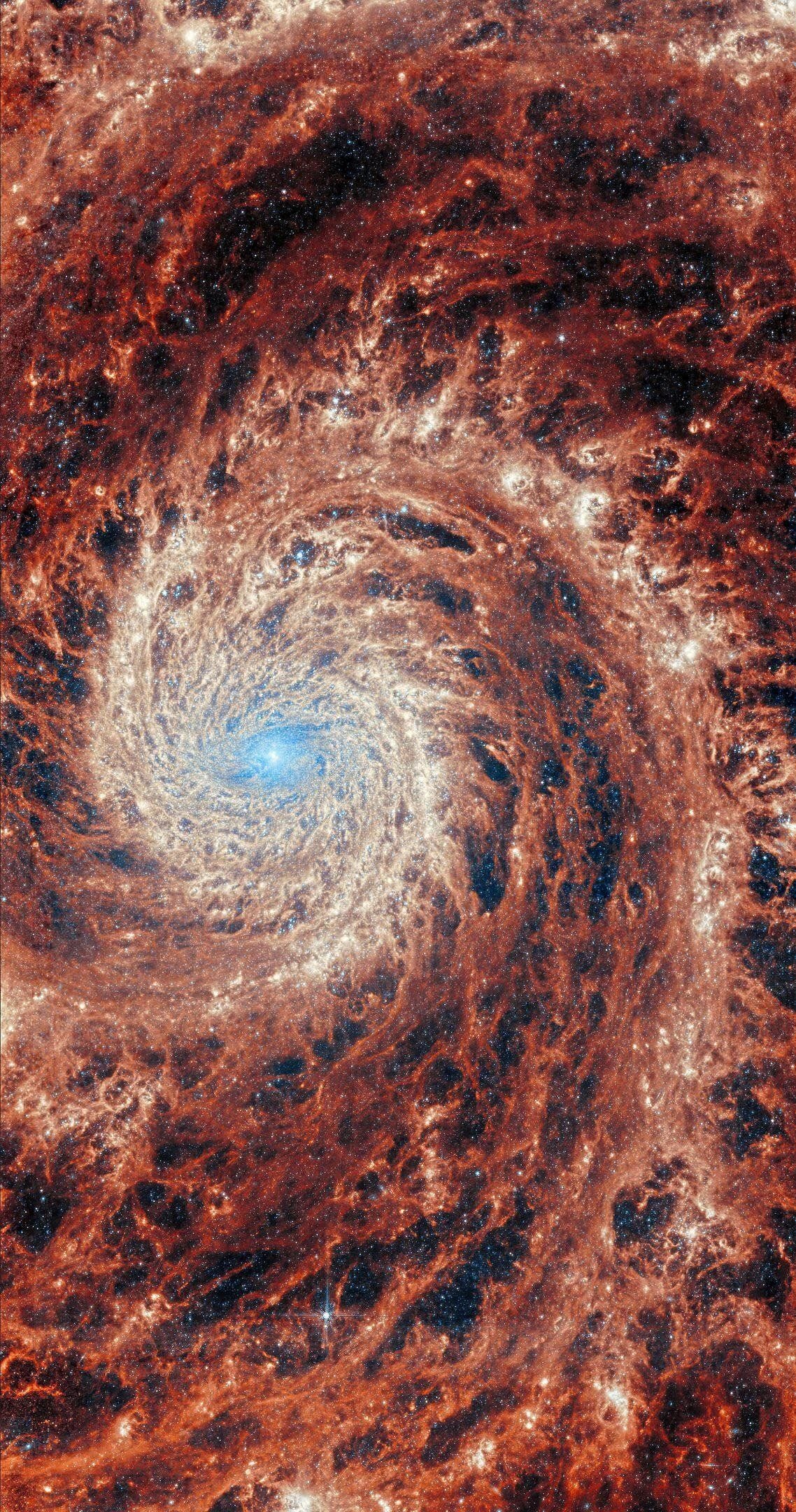 M51 Galaxy JWST