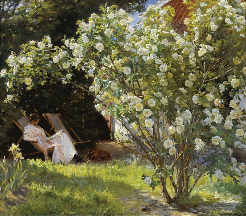 Roses, 1893