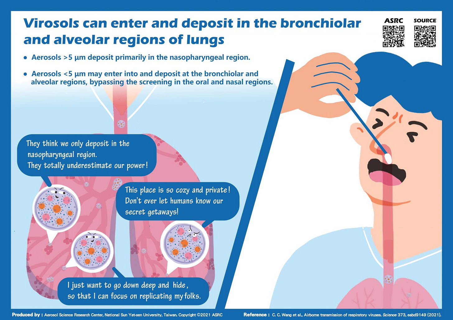 The image shows a cartoon representation someone having a cotton swab test stick stuck in their nose, and an illustration of lungs. The text reads: Virosols can enter and deposit in the bronchiolar and alveolar regions of lungs. Aerosols greater than 5 µm deposit primarily in the nasopharyngeal region. Aerosols lesser than 5 µm may enter into and deposit at the bronchiolar and alveolar regions, bypassing the screening in the oral and nasal regions. There are cartoon virus characters with eyes hovering in the lung illustration and they have message bubbles, one virus says: They think we only deposit in the nasopharyngeal region. They totally underestimate our power! Another virus says: This place is so cozy and private! Don't ever let humans know our secret getaways! Another virus says: I just want to go down deep and hide, so that I can focus on replicating my folks. Produced by: Aerosol Science Research Center, National Sun Yat-sen University, Taiwan. Copyright 2021 ASRC Reference: C. C. Wang et al., Airbome transmission of respiratory viruses. Science 373, eabd9149 2021