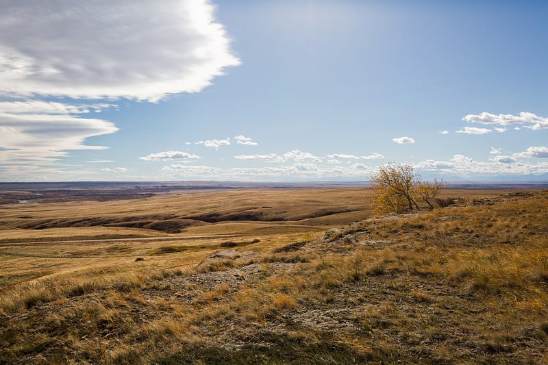View of short grass prairie