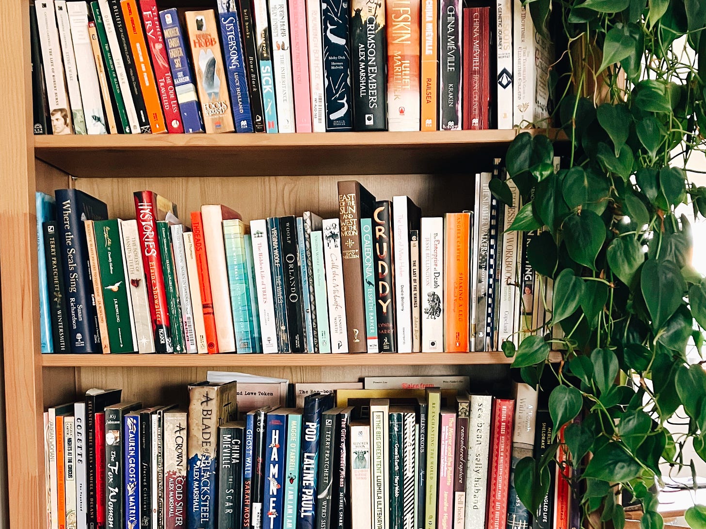 A photo of a bookshelf with many colourful books, mostly new. A long trailing houseplant cascades down the side