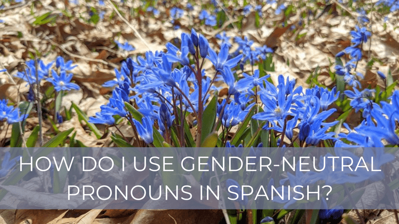 How do I use gender-neutral pronouns in Spanish?