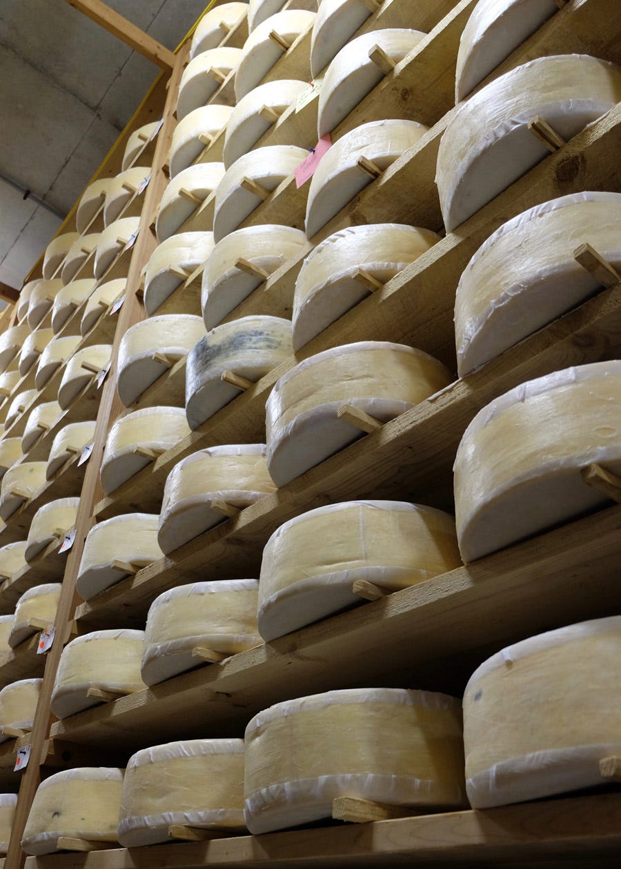 Cabot Clothbound Cheddar at Cellars at Jasper Hill