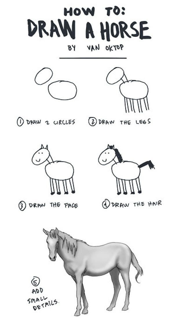 Another horse. | Horse drawings, Draw, Horse drawing
