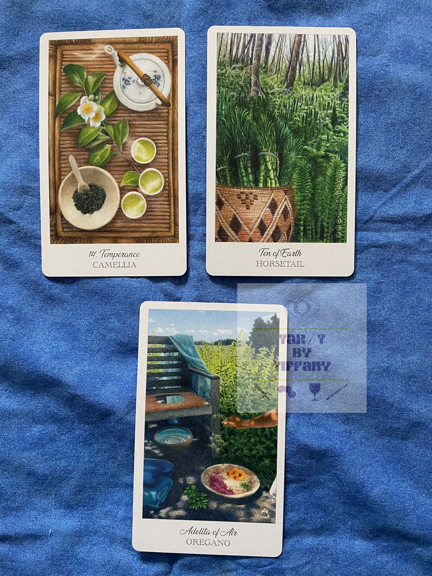 3-card reading using the Herbcrafter's Tarot. The cards are laid on a blue cloth background. Top row (left to right): Temperance (Camellia), 10 of Earth (Horsetail). Bottom card: Adelita of Air (Oregano).