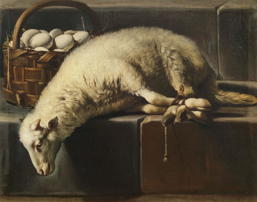 The Sacrifice Lamb