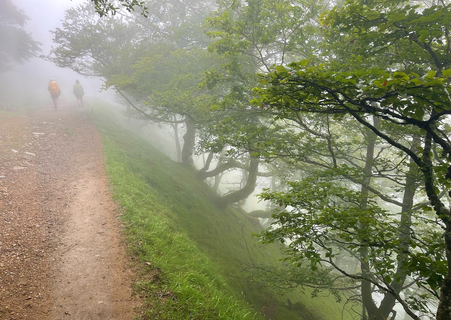 two pilgrims in the mist ahead of me, steep slope with trees on my right. I still recognize the walkers, two women from Italy who reached Sanitiago faster than anyone else I started with