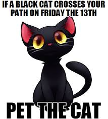 A belated Friday 13th meme... - Pet Behaviour Vet | Facebook