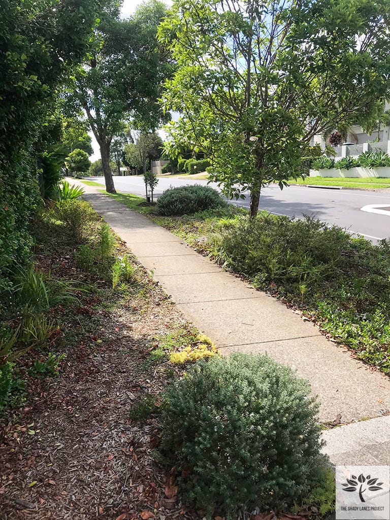 photo of verge garden with pathway in the centre
