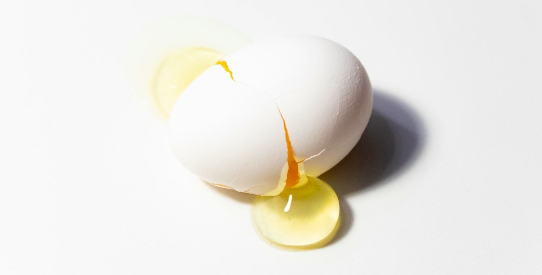 white egg on white surface