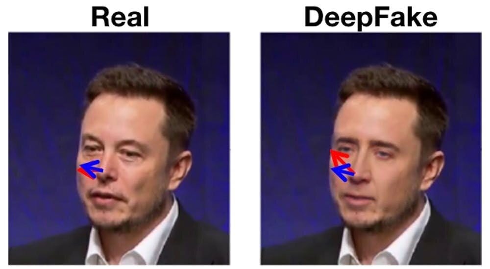 Detecting deepfakes by looking closely reveals a way to protect against ...