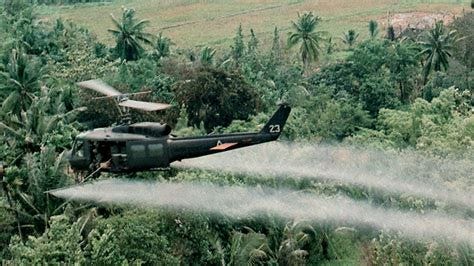 Agent Orange Tied to Increased Dementia Risk in Vietnam Vets