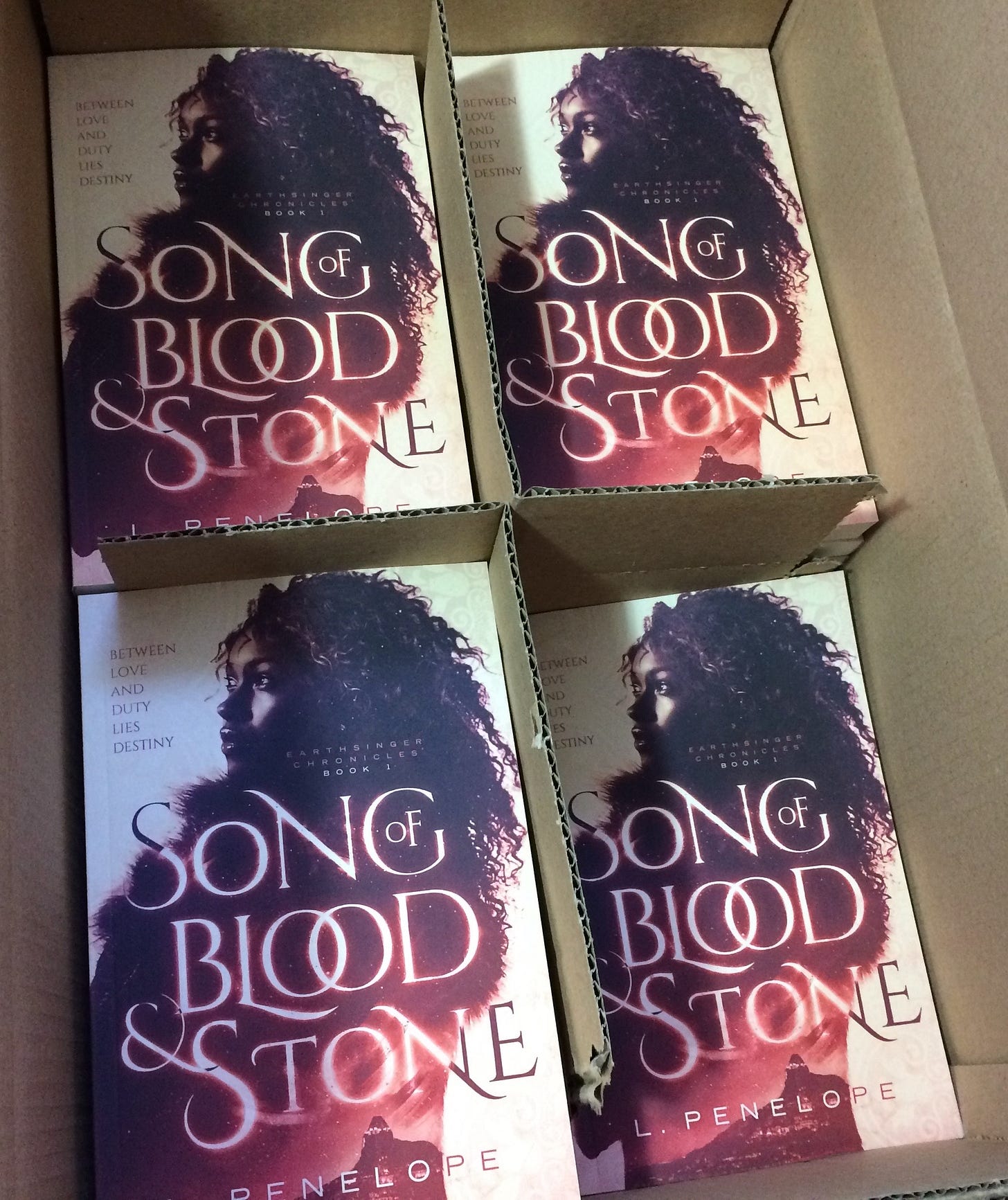 The original, self-published version of Song of Blood & Stone - books in a box