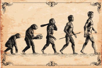 Laminated Human Evolution Classic Ape Walking Upright Evolving Into ...