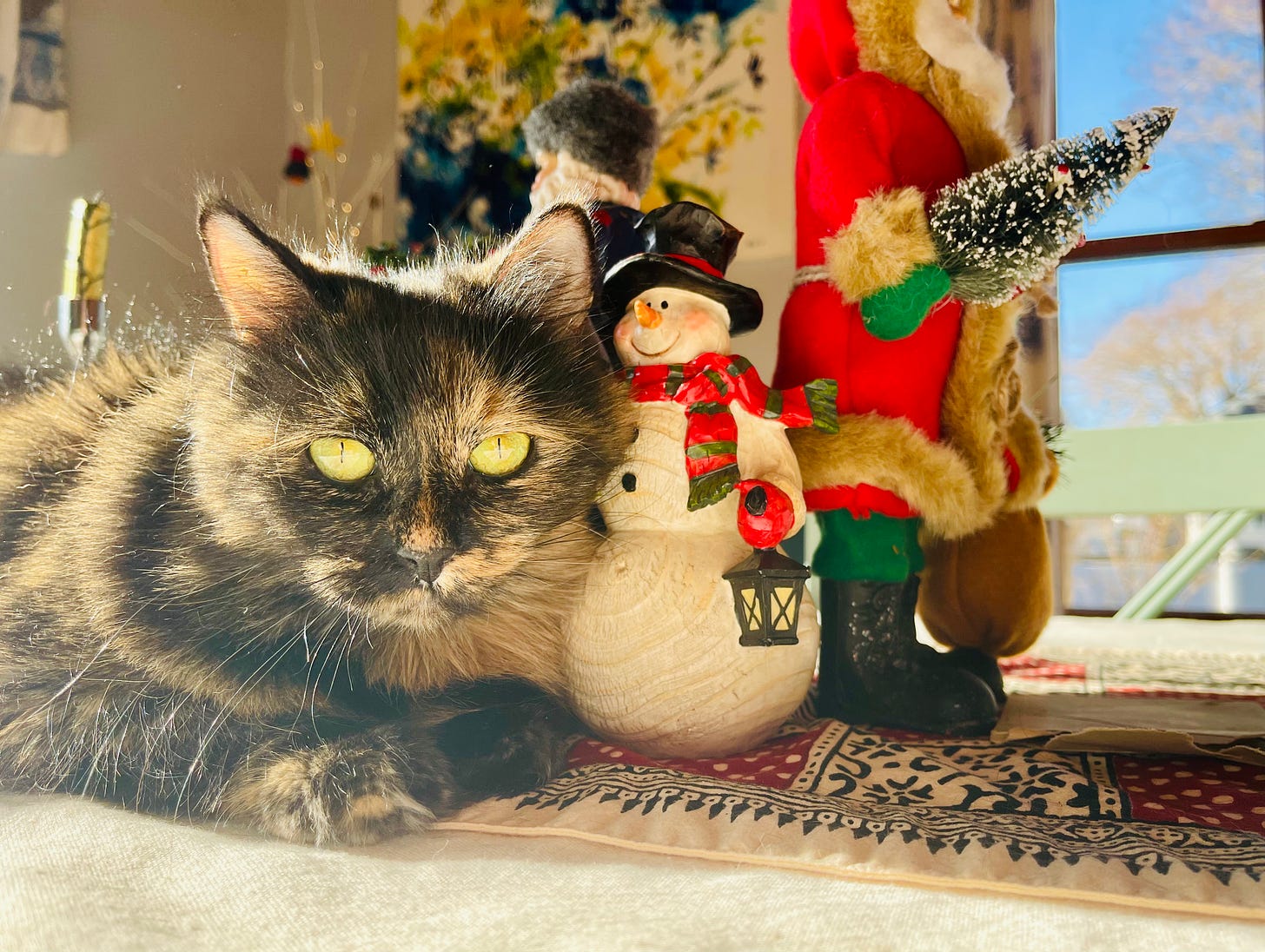 cat with snowman on table